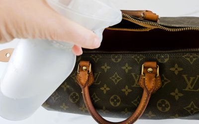 Üblen Geruch aus Louis Vuitton Tasche entfernen? 6 DIY Methoden, die wirklich helfen können
