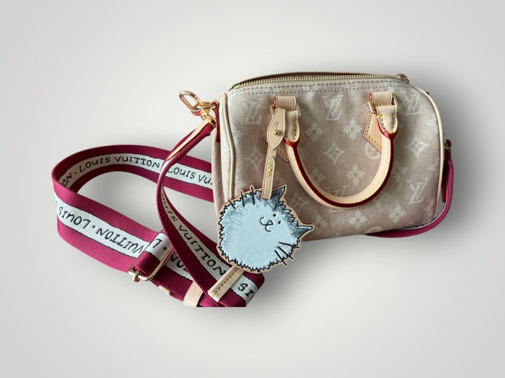 Louis Vuitton Speedy 20 Catogram